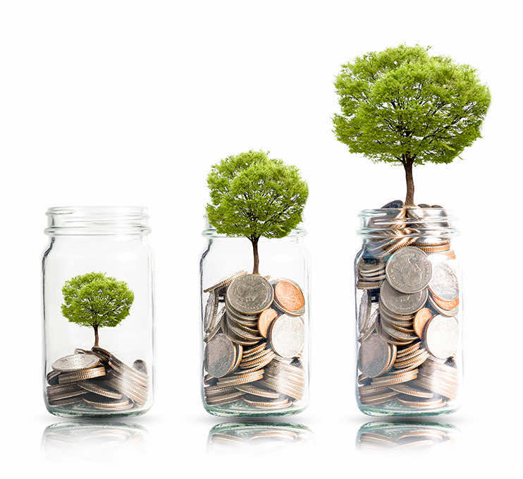 Money tree in jar, symbolizing financial growth.